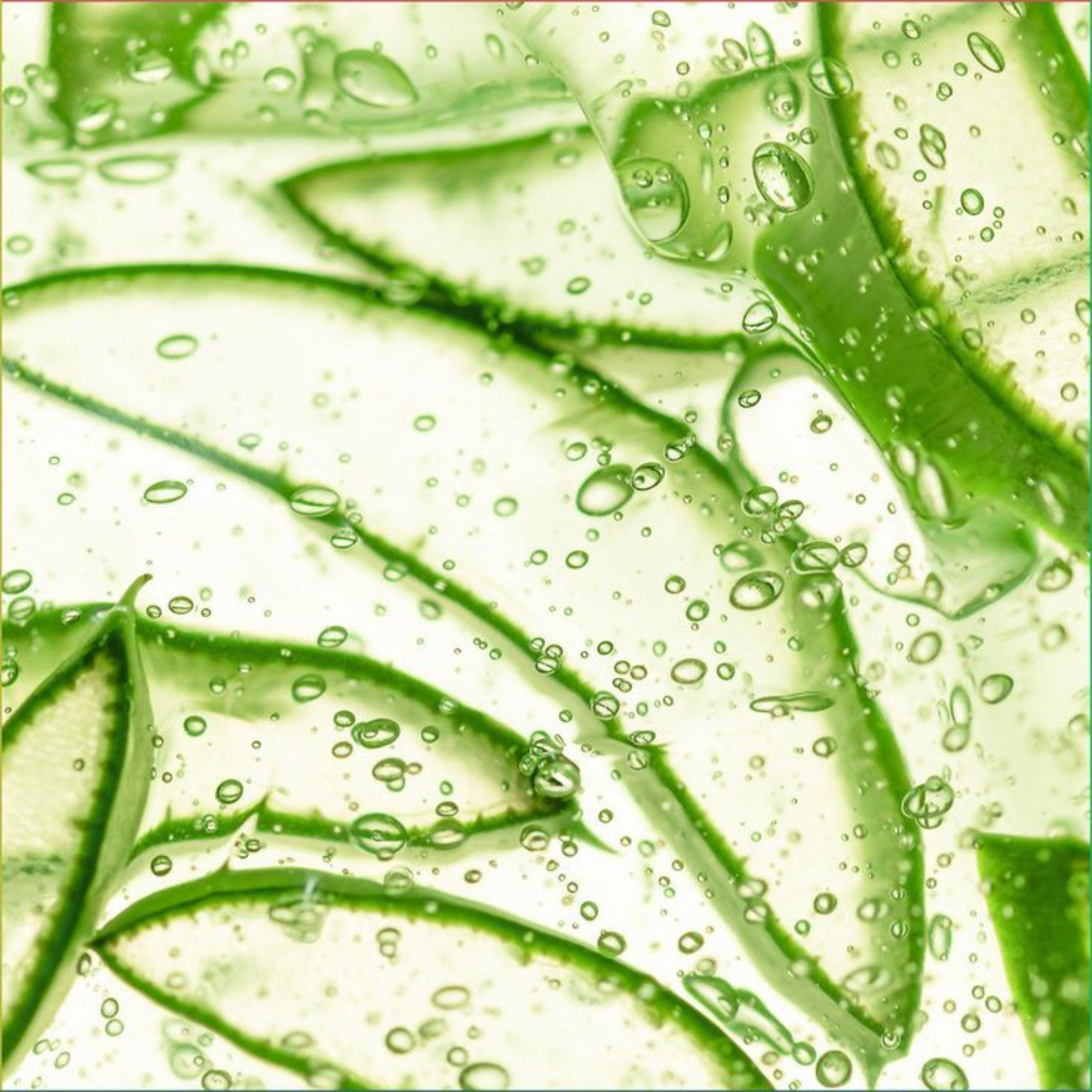 60 PATCH ALOE VERA & COLLAGÈNE YEUX